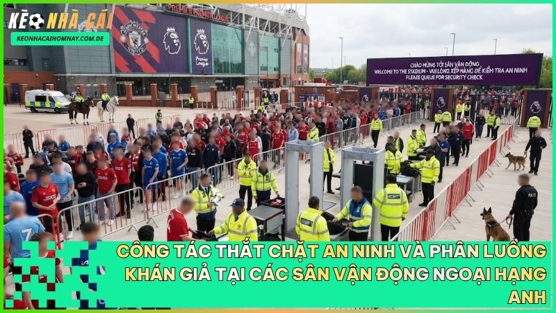 Ban tổ chức giải đấu cần siết chặt các biện pháp bảo vệ an toàn cho người hâm mộ sau sự cố.