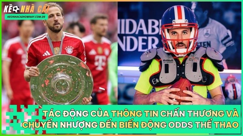 Việc cập nhật thông tin sân cỏ nhanh chóng giúp người chơi đưa ra phán đoán cược chuẩn xác hơn.